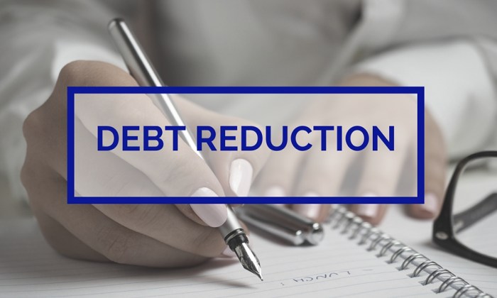 Debt pay off reduction solution services good shares