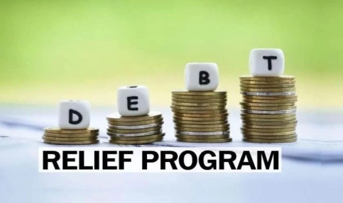 Debt programs